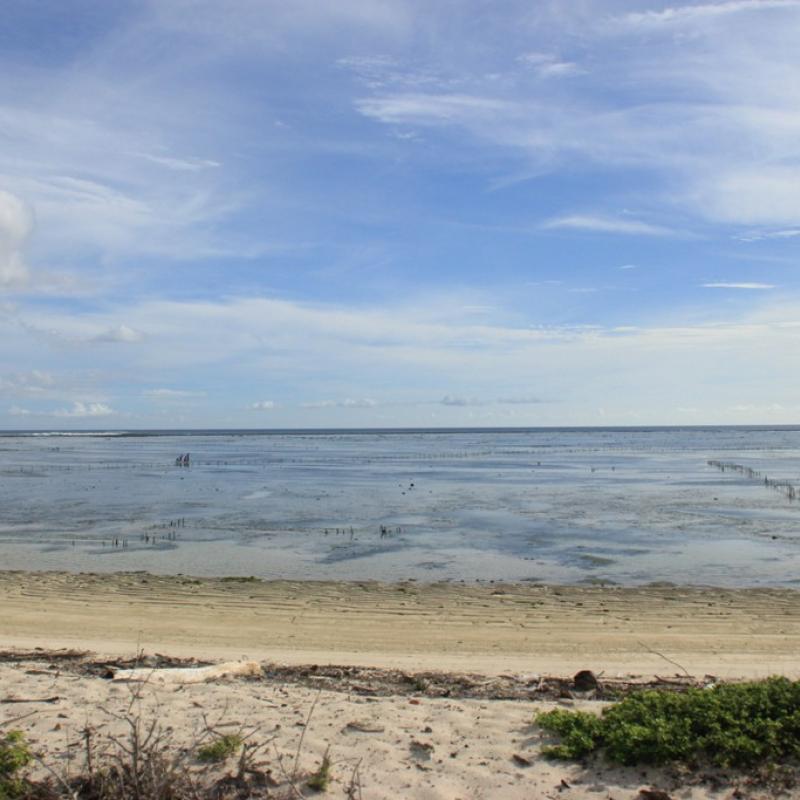 Terrain – villa - maison – propriété – à vendre – à louer – location - location longue durée – location à l’année – investissement – achat – vente – plage – bord de mer - sable blanc – Indonésie – Roti island – Bali – chambre – notaire – consultant - juridique – création - société – administration – voyage – entreprise – hôtel – commerce – restaurant – projet – visa – permis – travail – retraite – informations – découverte – aventure – produits – naturels – spa – salon – coiffure – réflexologie – savon – shampoing – anti-moustique – tourisme – plaisir – nature – surf – plongée – exploration – exotique – exotisme – massage – traditionnel – huile de massage – coucher de soleil – photos – galerie – soin de beauté – pédicure – manucure – agent immobilier – professionnel-Land - villa - house - property - for sale - rent - rental - leasing - rent annually - investment - purchase - sale - beach - sea - white sand - Indonesia - Rote island - Bali - bedroom - notary - consultant - legal - creation - company - administration - travel - business - hotel - shop - restaurant - project - visa - permit - work - retirement - information - discovery - adventure - products - natural - spa - lounge - hairdresser - reflexology - soap - shampoo – anti-mosquito – pleasure – nature – surf – diving – exploration - exotic - exotism - massage - traditional - massage oil - sunset - pictures - gallery - beauty treatment - pedicure – manicure – real estate agent – professional-Tanah - villa - rumah - properti - Dijual - disewakan - dikontrakan - menyewa per tahun - investasi - pembelian - penjualan - pantai - laut - pasir putih - Indonesia - pulau Roti - Bali - bedroom - notaris - konsultan - hukum - penciptaan - wisata - - bisnis - Hotel - bisnis - restoran - proyek - visa - izin - pekerjaan - pensiun - informasi - penemuan - petualangan - produk - spa - - alam ruang duduk - penata rambut - reflexology masyarakat - administrasi - sabun - shampoo – anti-nyamuk - Pariwisata - menyenangkan - semacam - surfing - diving – eksplorasi - eksotik - eksotis - pijat - tradisional - pijat minyak - sunset - Foto - galeri - perawatan kecantikan - pedicure – manicure – properti agen - Profesional